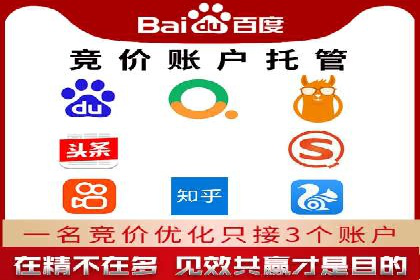 百度竞价代运营公司成功案例分析